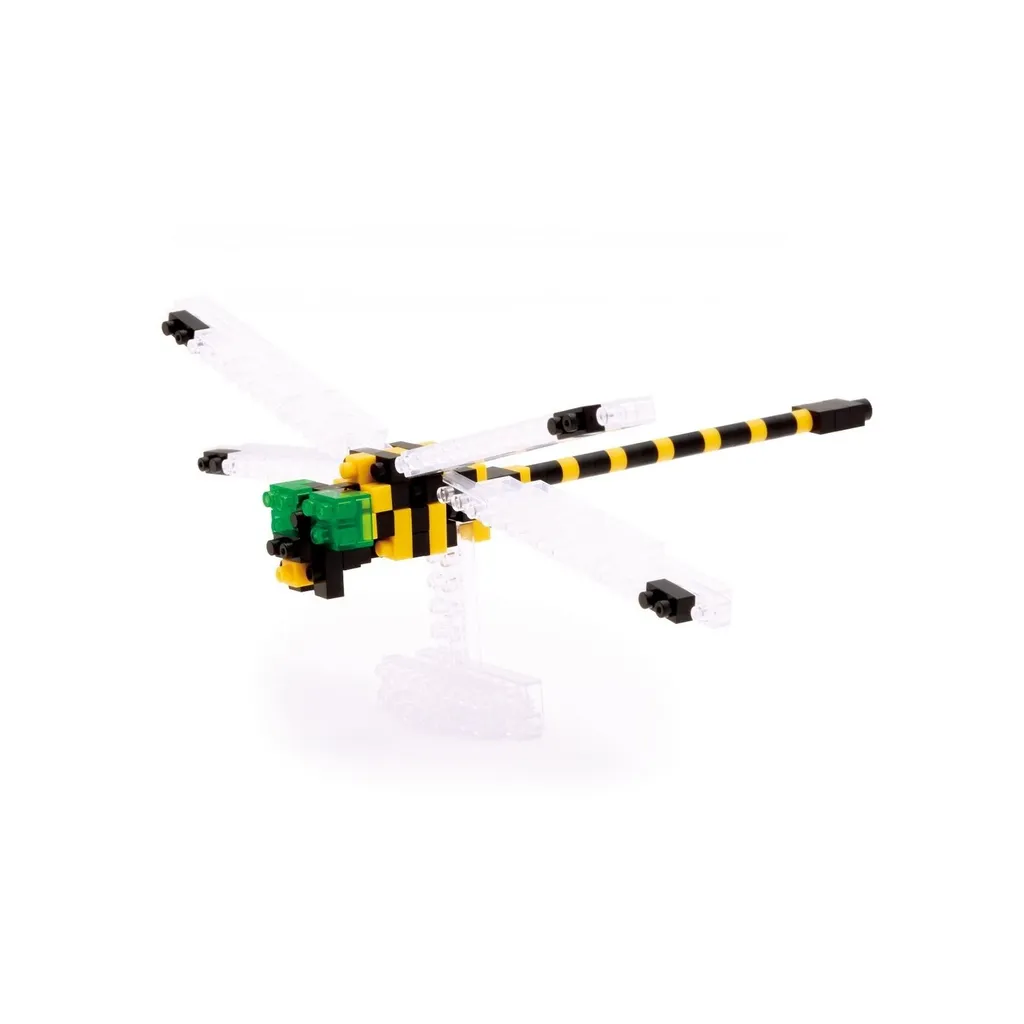 Golden-ringed Dragonfly — view 1