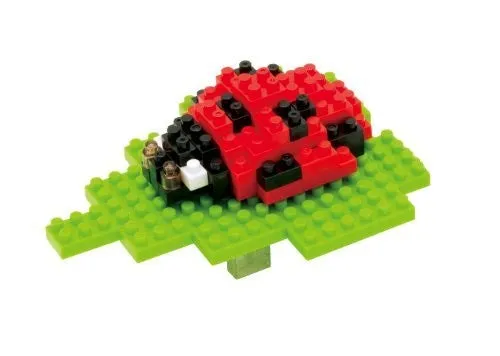 Seven-spot Ladybird — view 1
