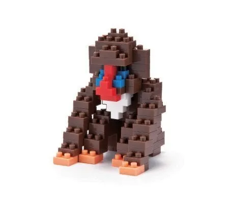 Baboon — view 1
