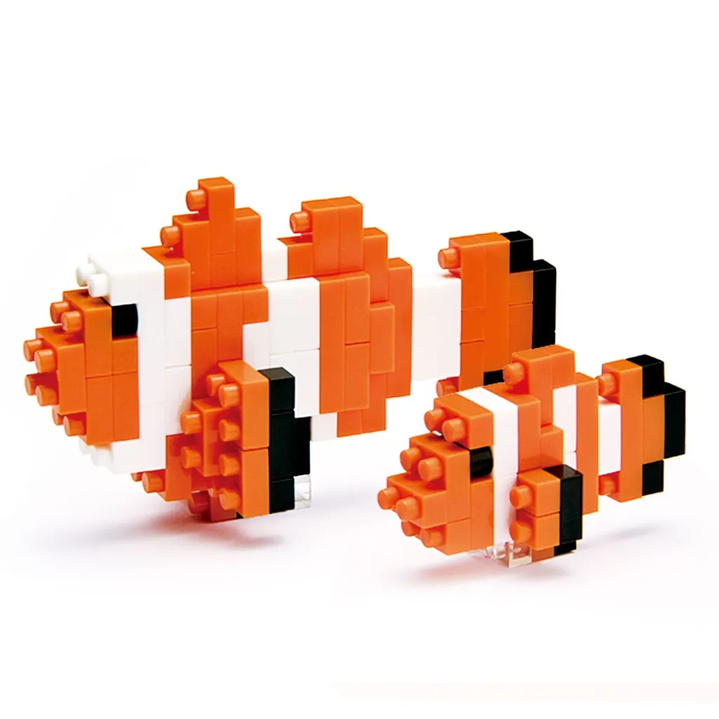 Clownfish — view 1
