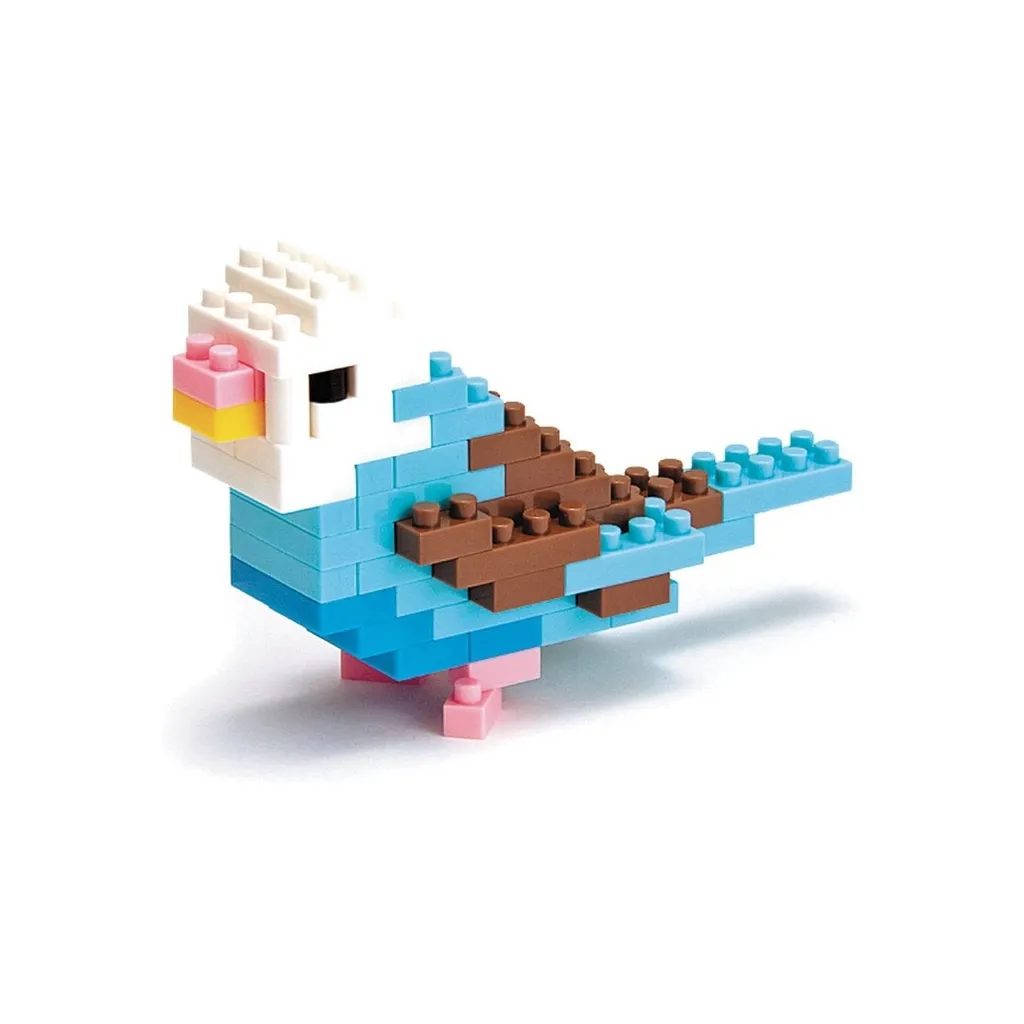 Budgerigar (Blue) — view 1