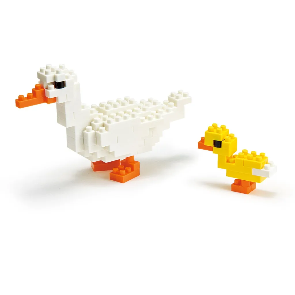 Duck and duckling — view 1