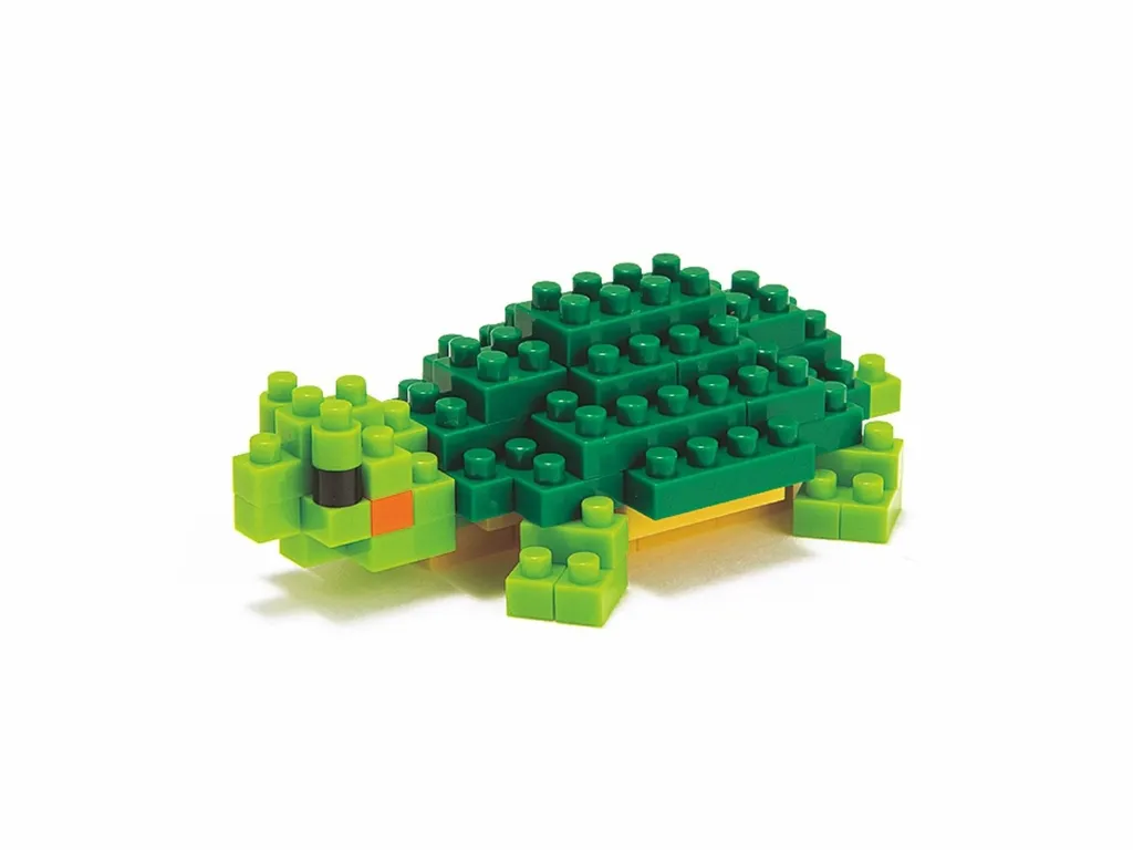 Red Eared Slider — view 1
