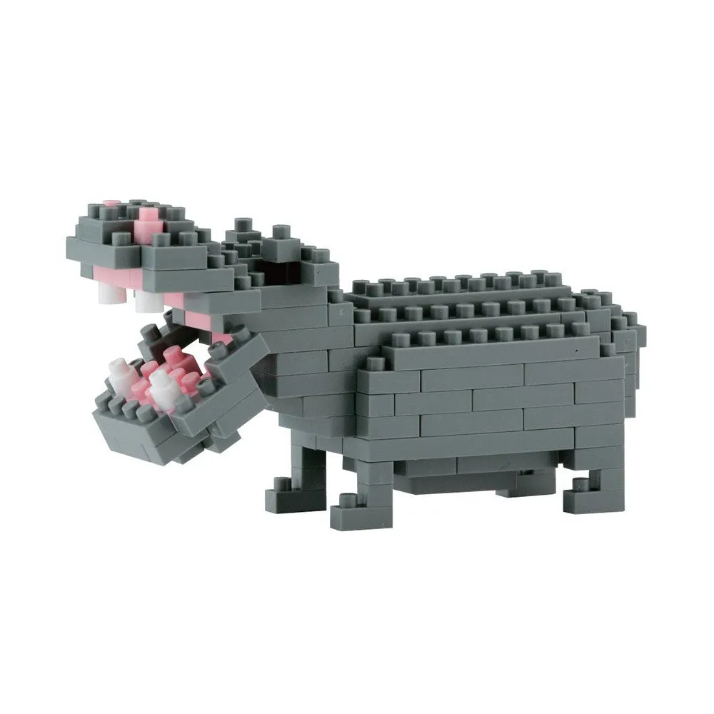 Hippopotamus — view 1
