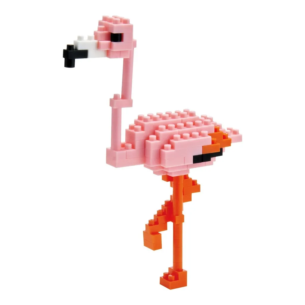Greater Flamingo — view 1