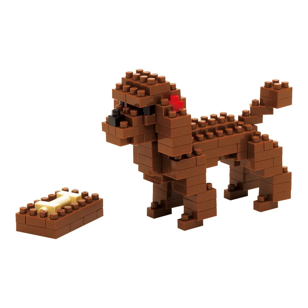 Toy Poodle — view 1