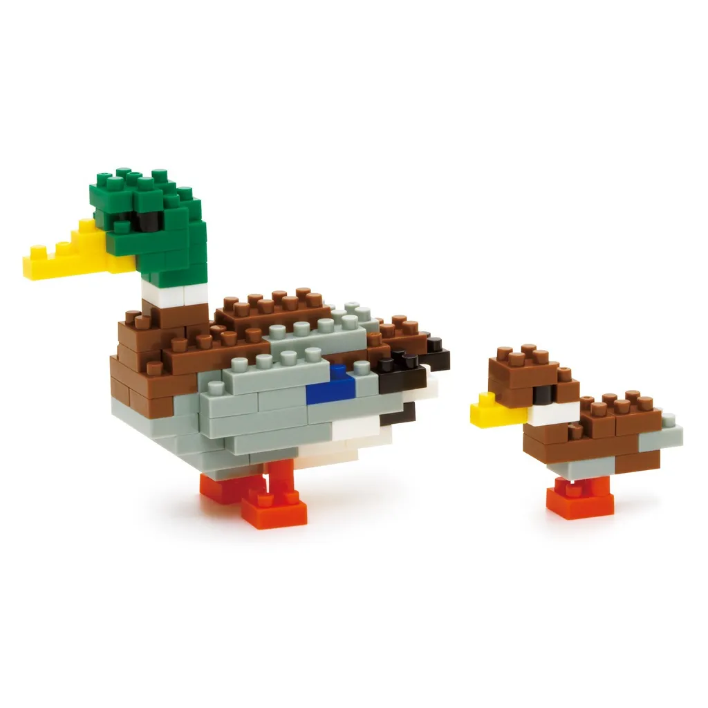 Mallard — view 1
