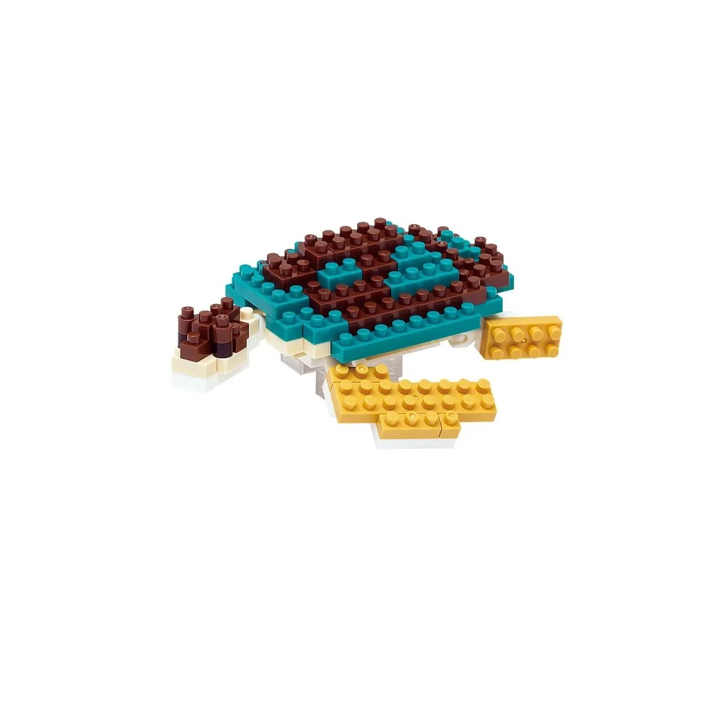 Green Sea Turtle — view 1