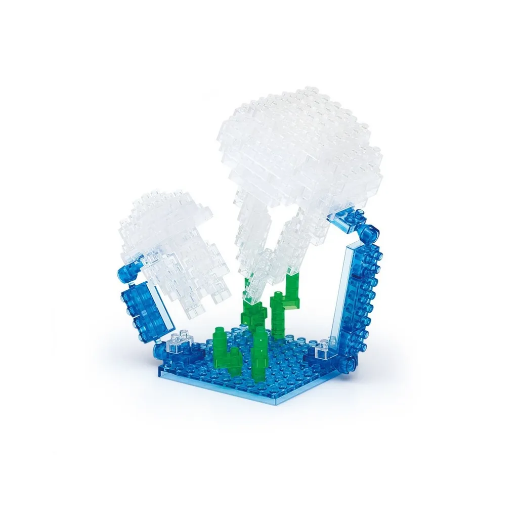 Moon Jellyfish — view 1
