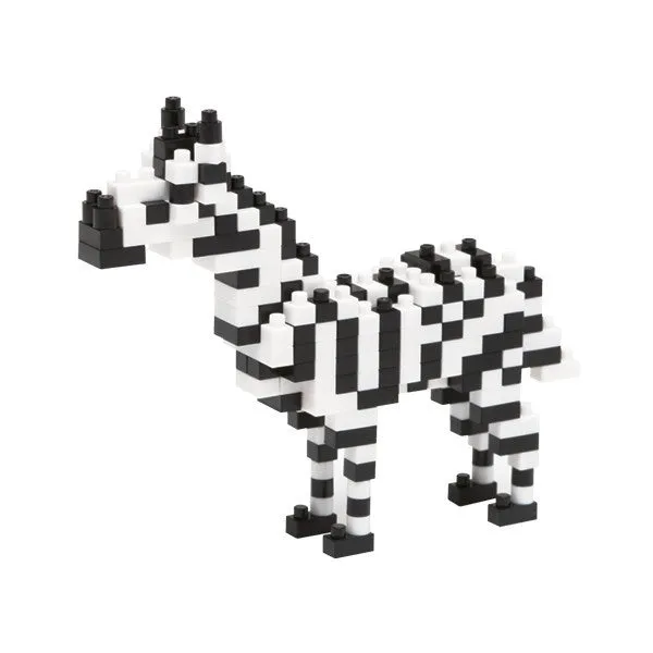 Zebra — view 1