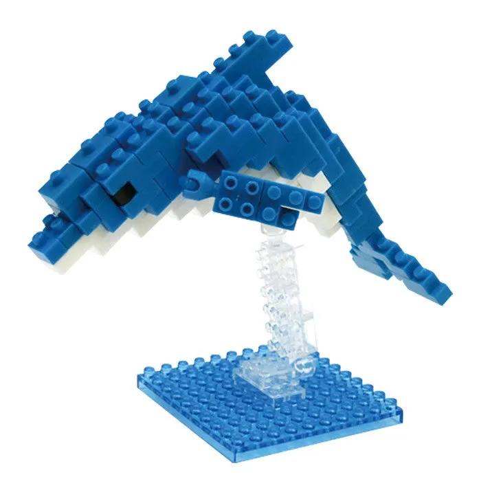Bottlenose Dolphin — view 1