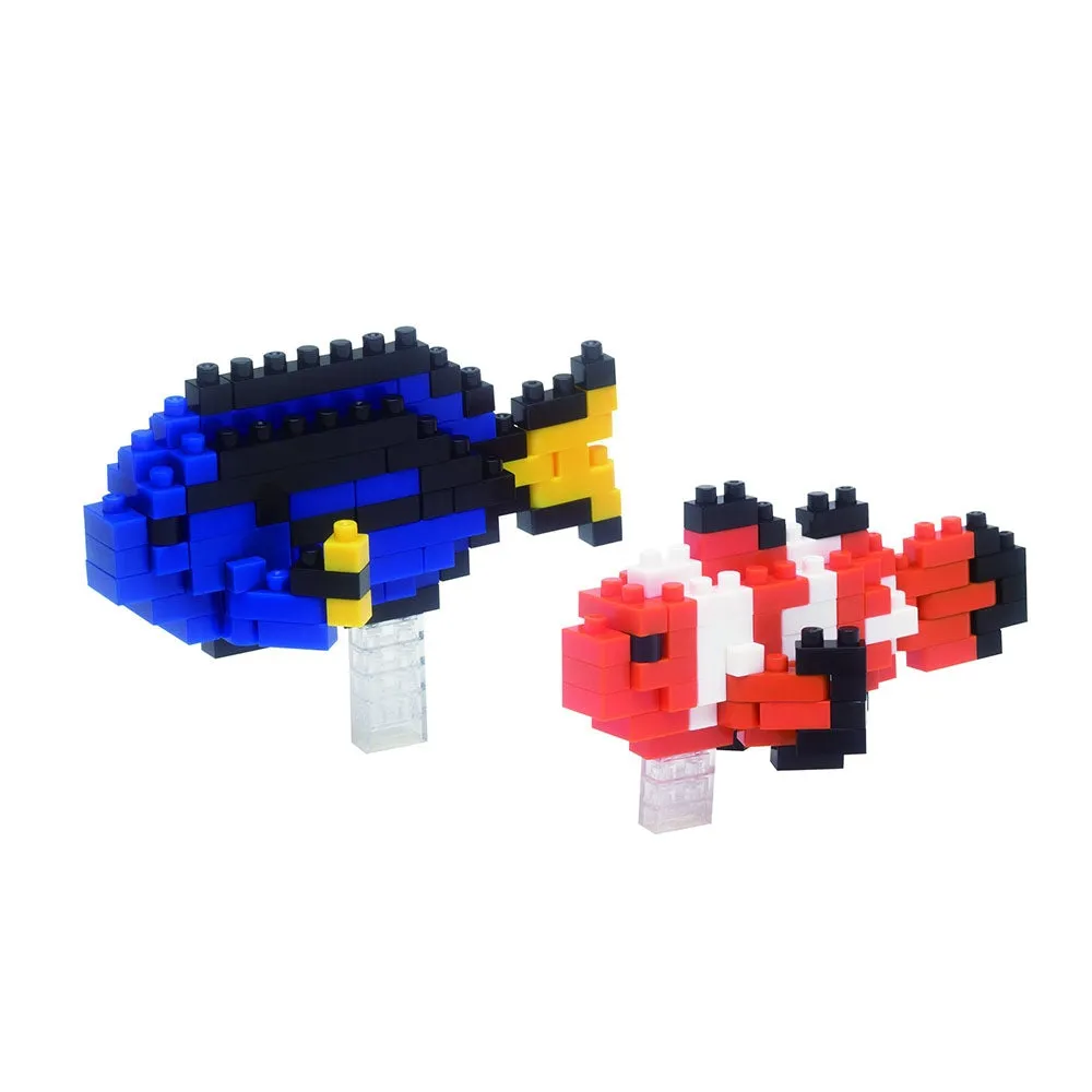 Clownfish & Palette Surgeonfish — view 1
