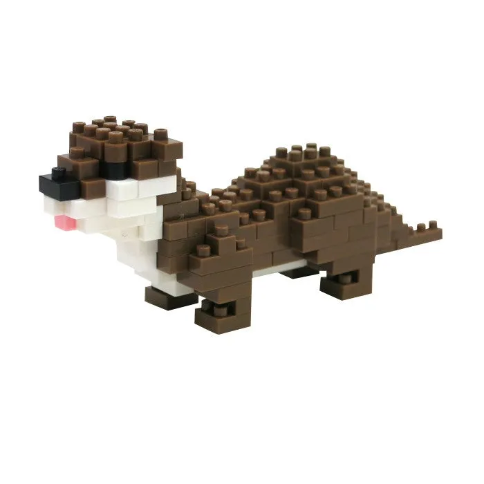 Small Clawed Otter — view 1