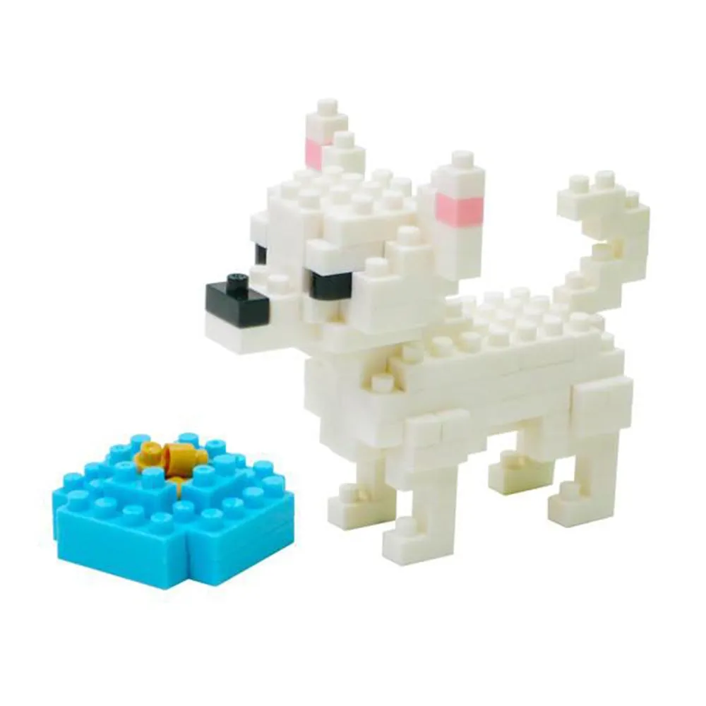 Chihuahua — view 1