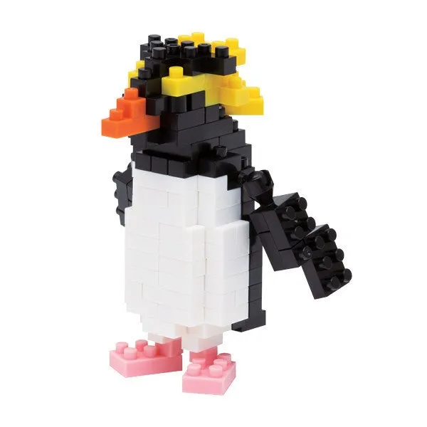 Rockhopper Penguin — view 1