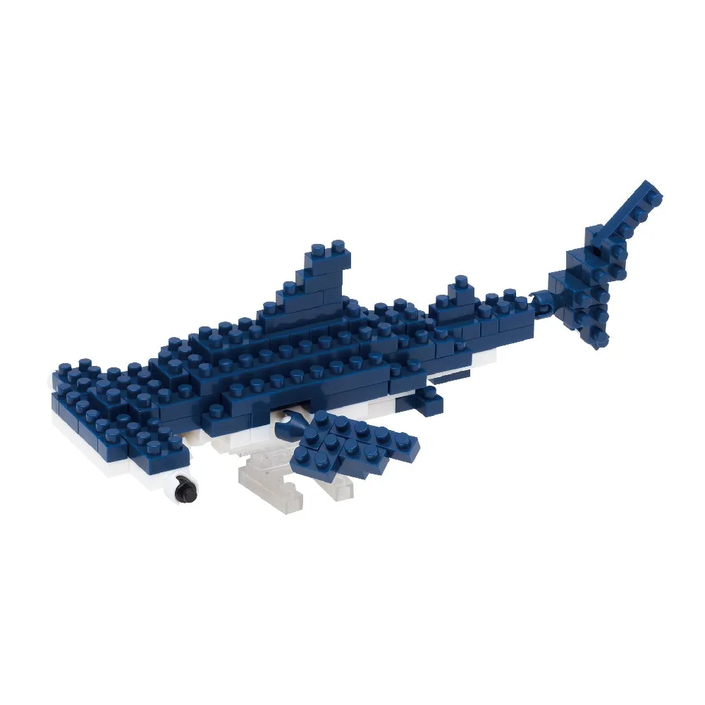 Hammerhead Shark — view 1