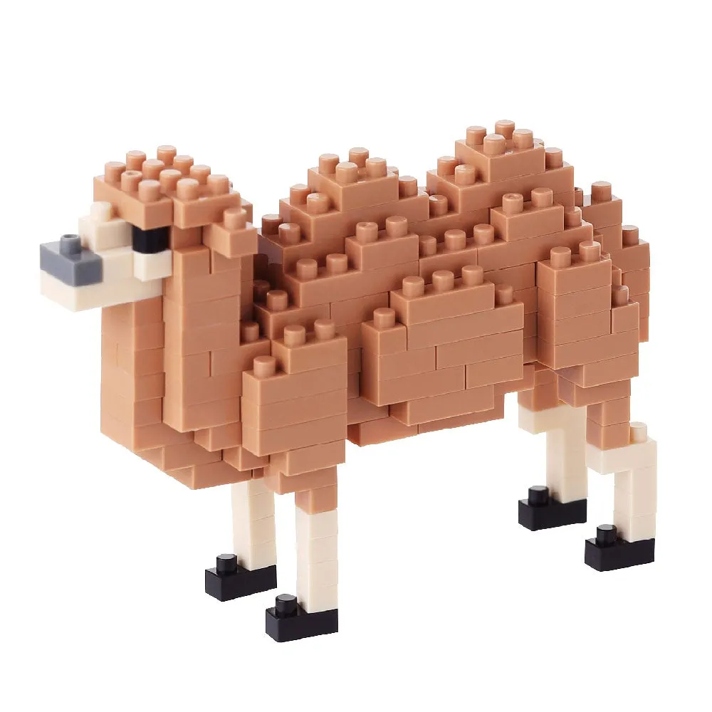 Bactrian Camel — view 1