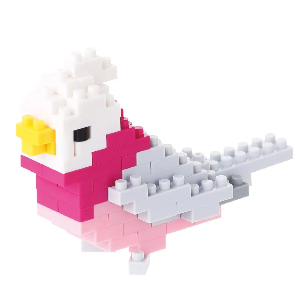 Galah — view 1