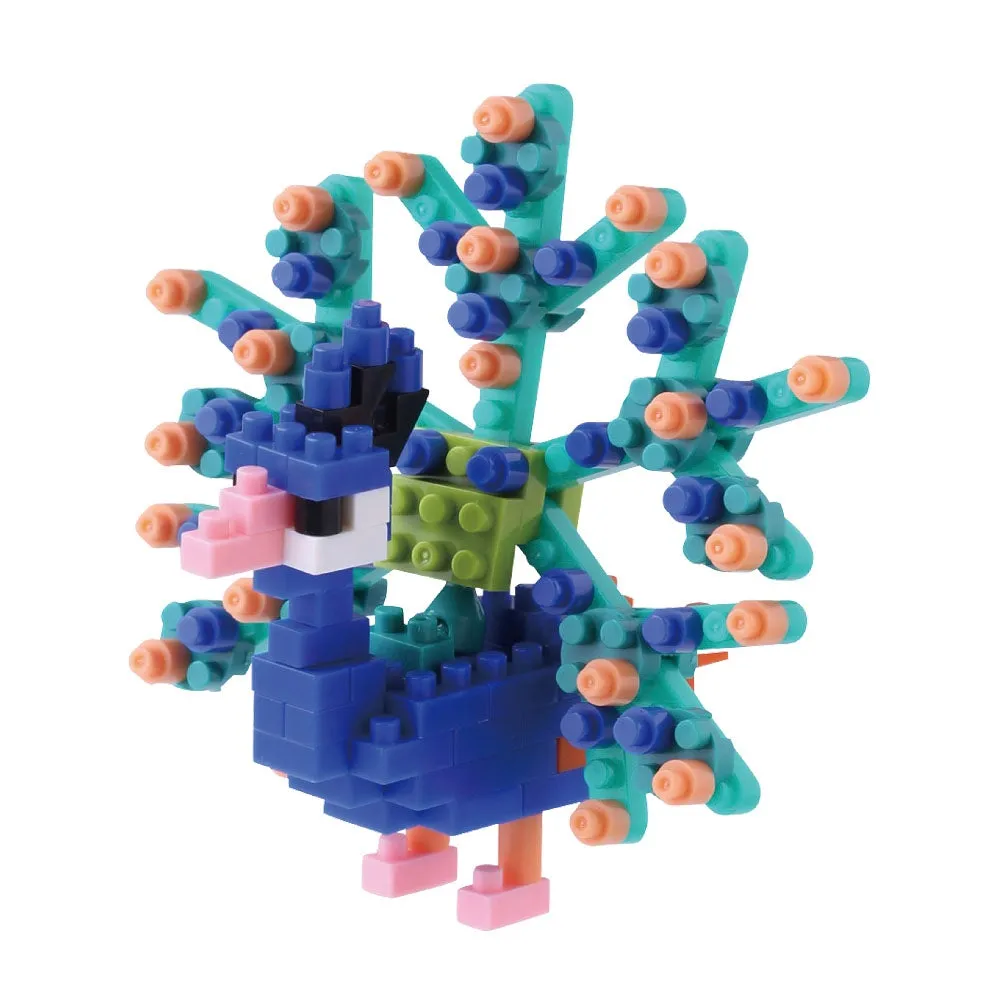 Peacock — view 1