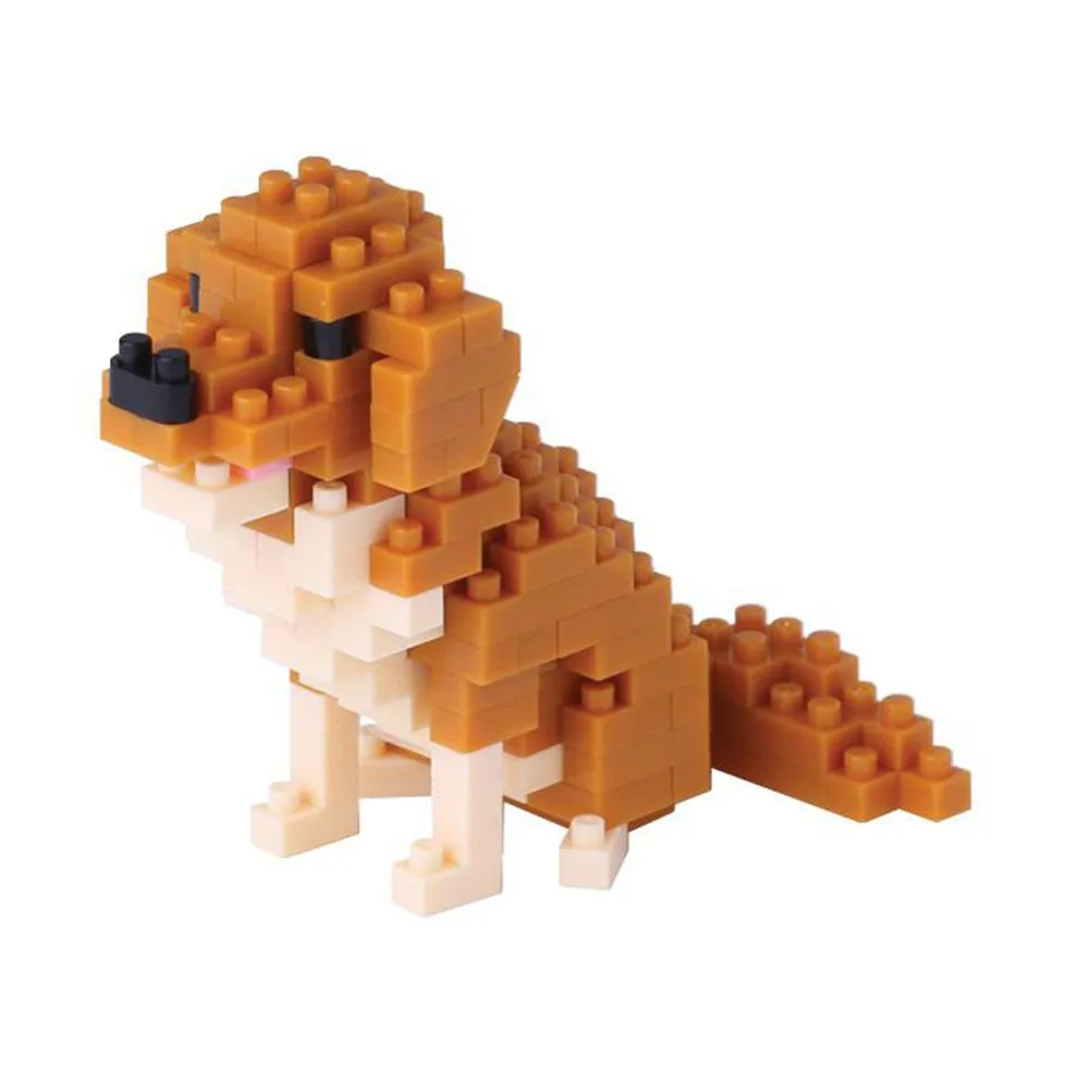 Golden Retriever — view 1