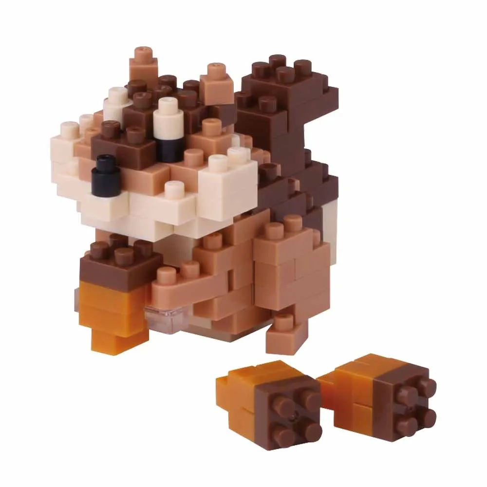 Squirrel — view 1