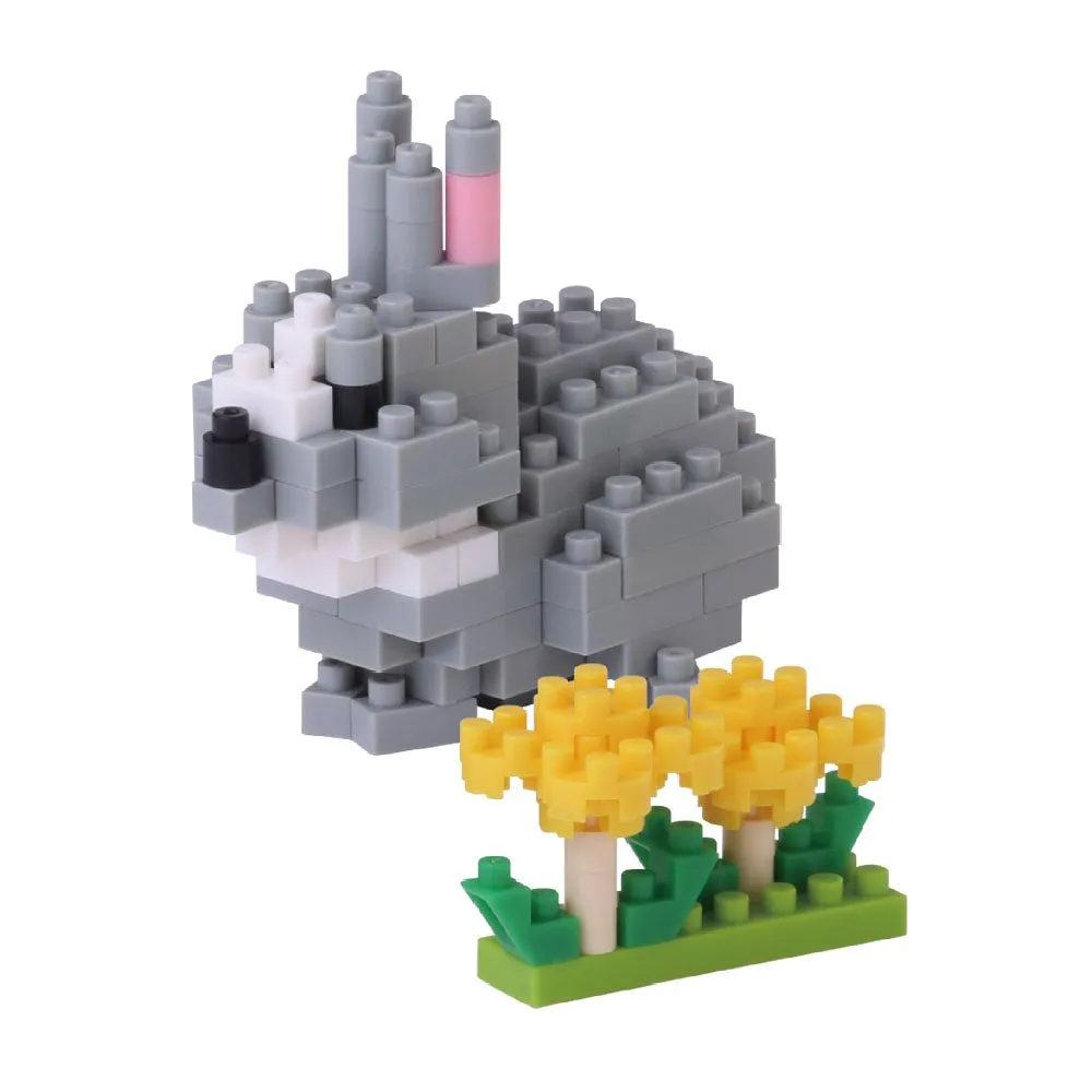 Rabbit — view 1