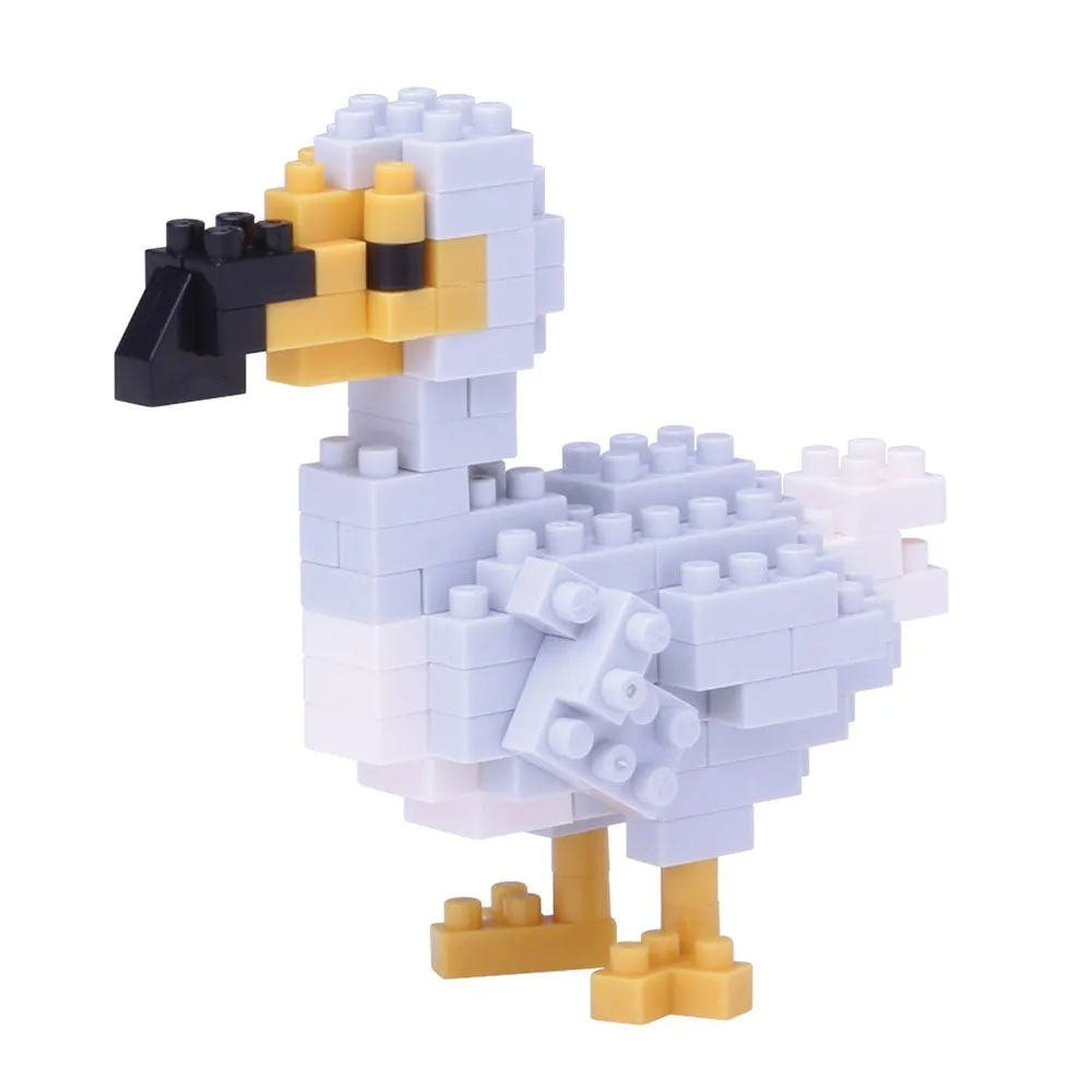 Dodo — view 1