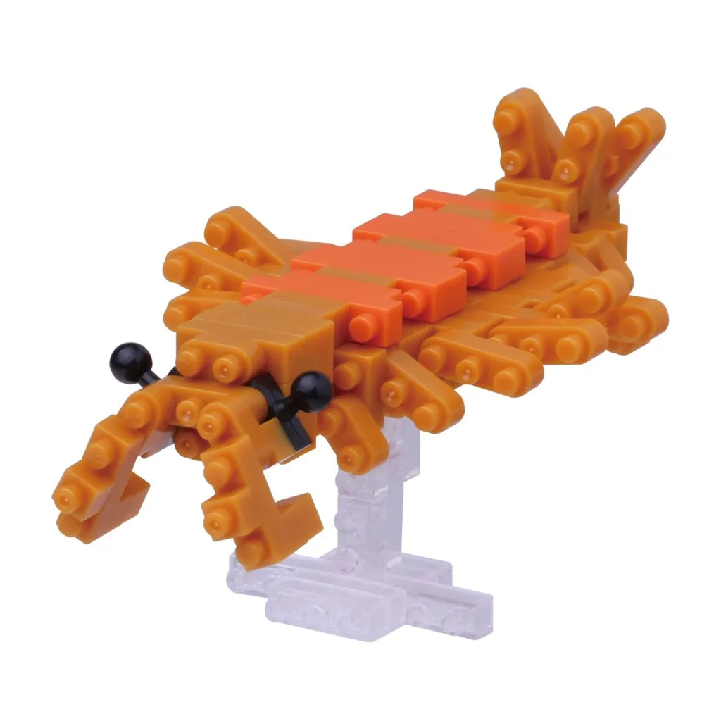Anomalocaris — view 1