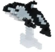 Pacific White Sided Dolphin — view 1