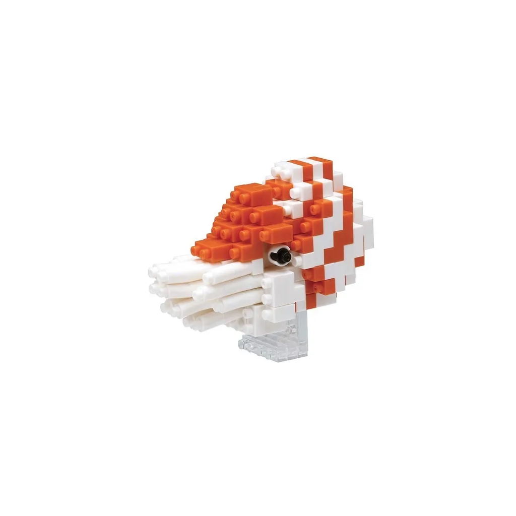Nautilus — view 1