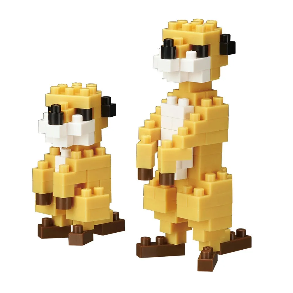 Meerkat — view 1