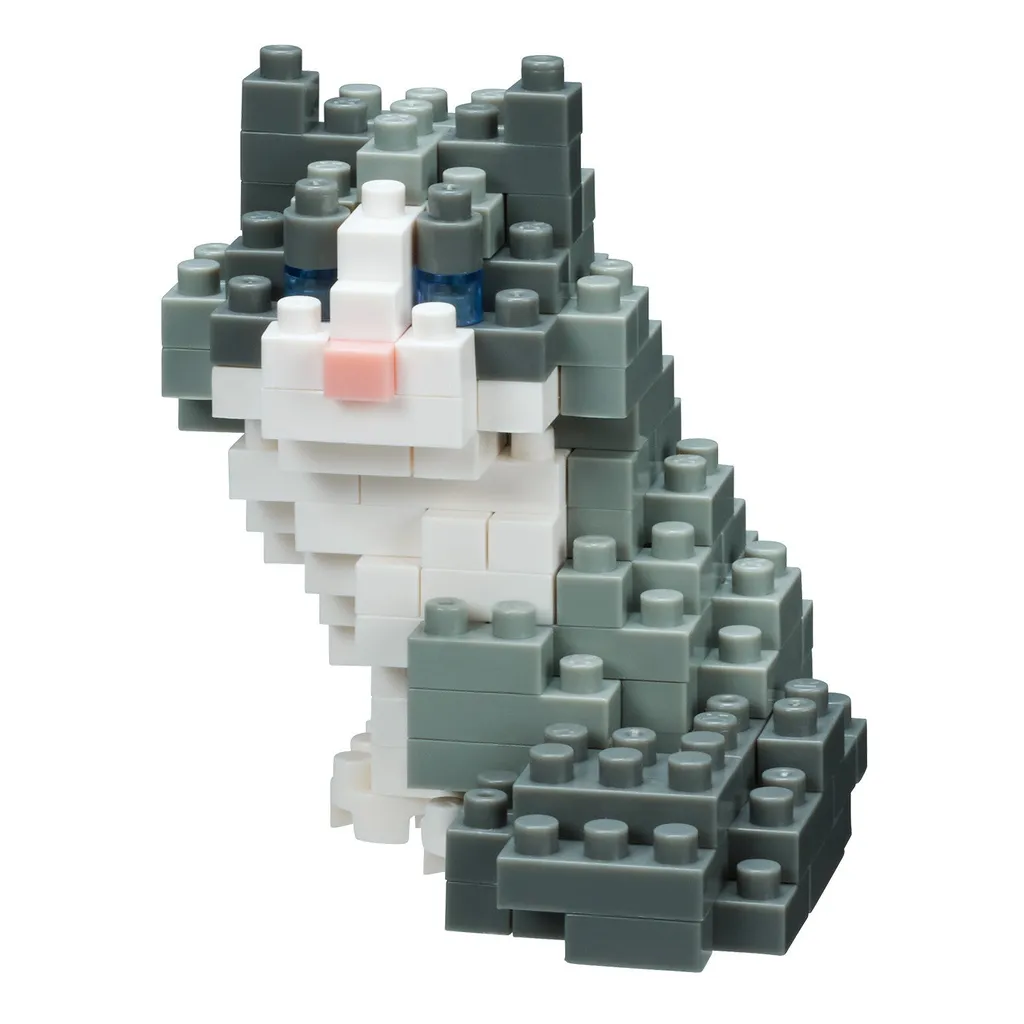 Ragdoll Cat — view 1