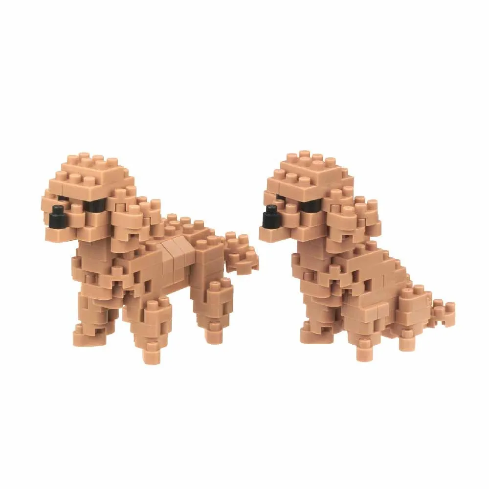 Toy Poodles — view 1