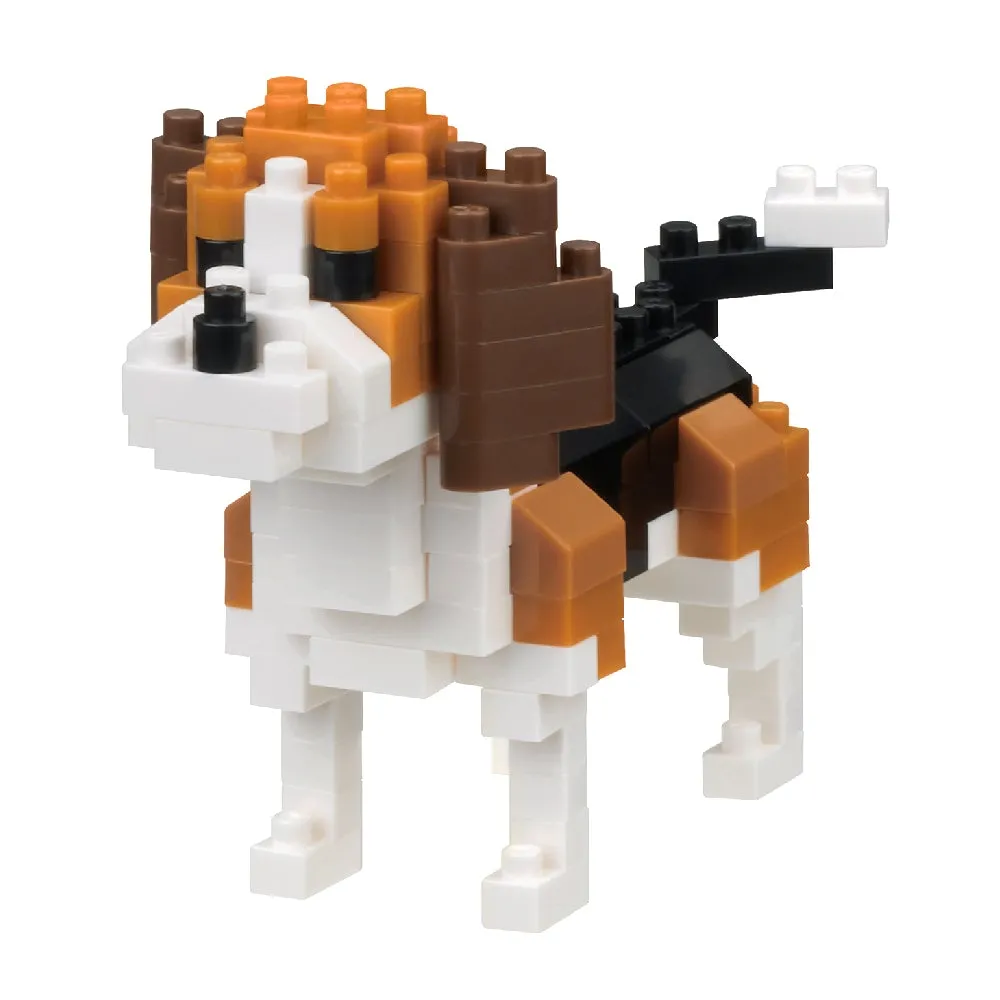 Beagle — view 1