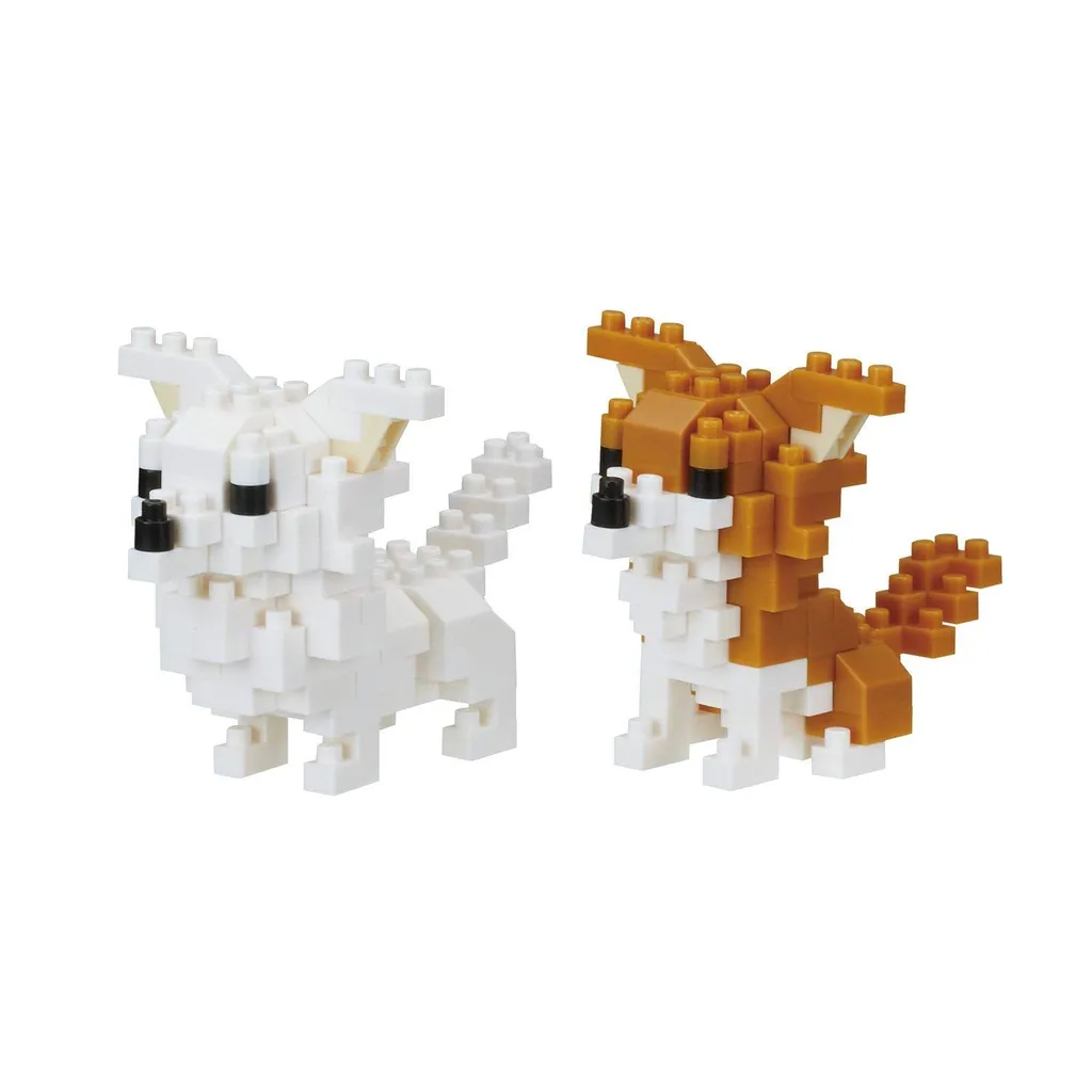 Chihuahuas — view 1