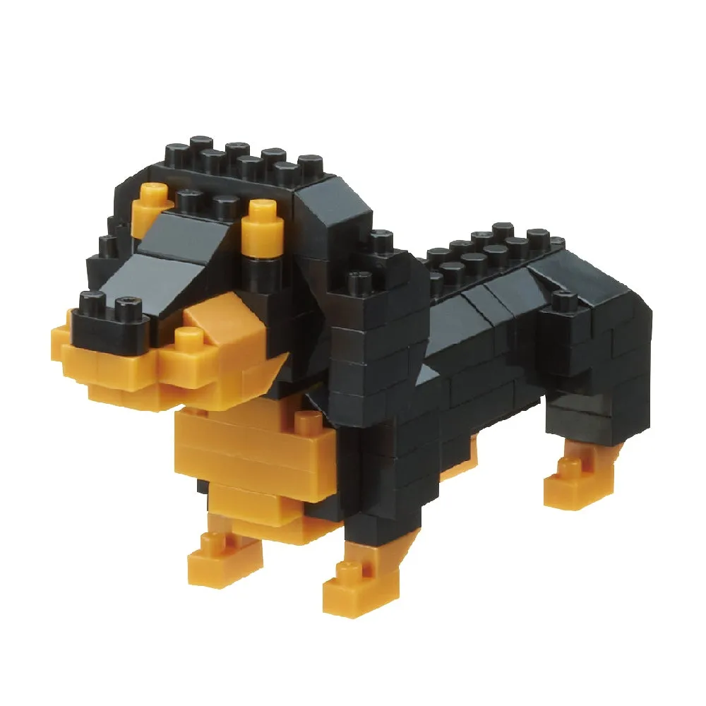 Miniature Dachshund — view 1