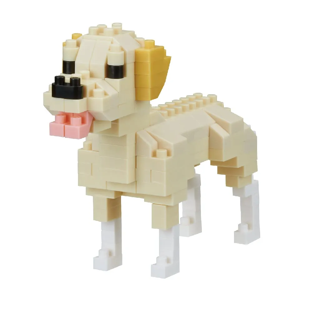 Labrador Retriever — view 1