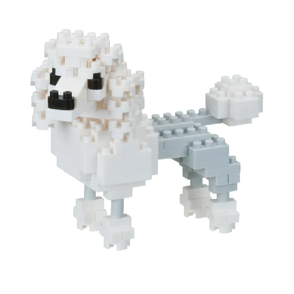Poodle — view 1