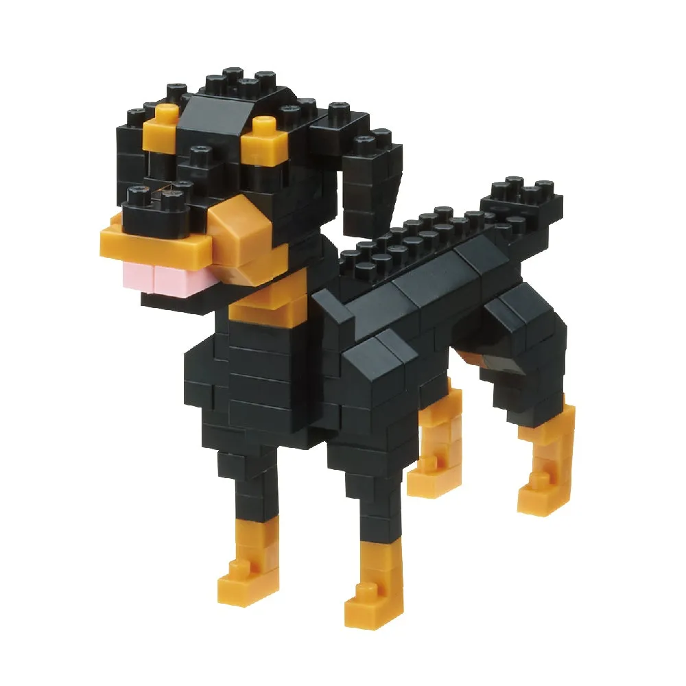 Rottweiler — view 1