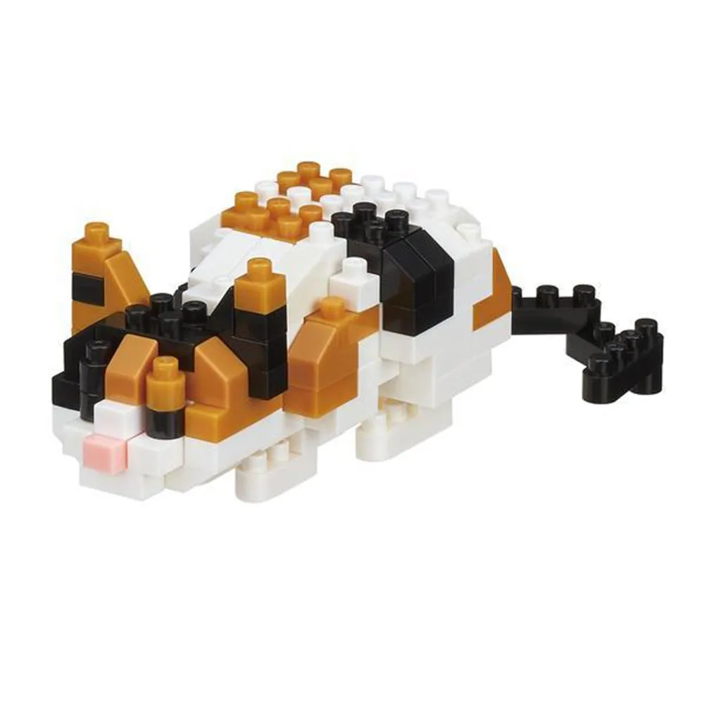 Calico Cat — view 1