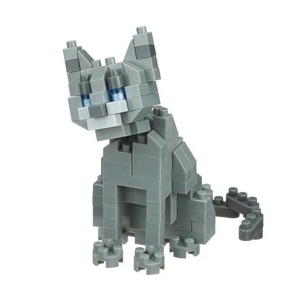 Russian Blue Cat — view 1