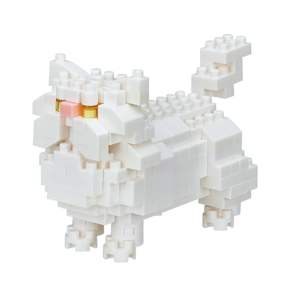 Persian Cat — view 1