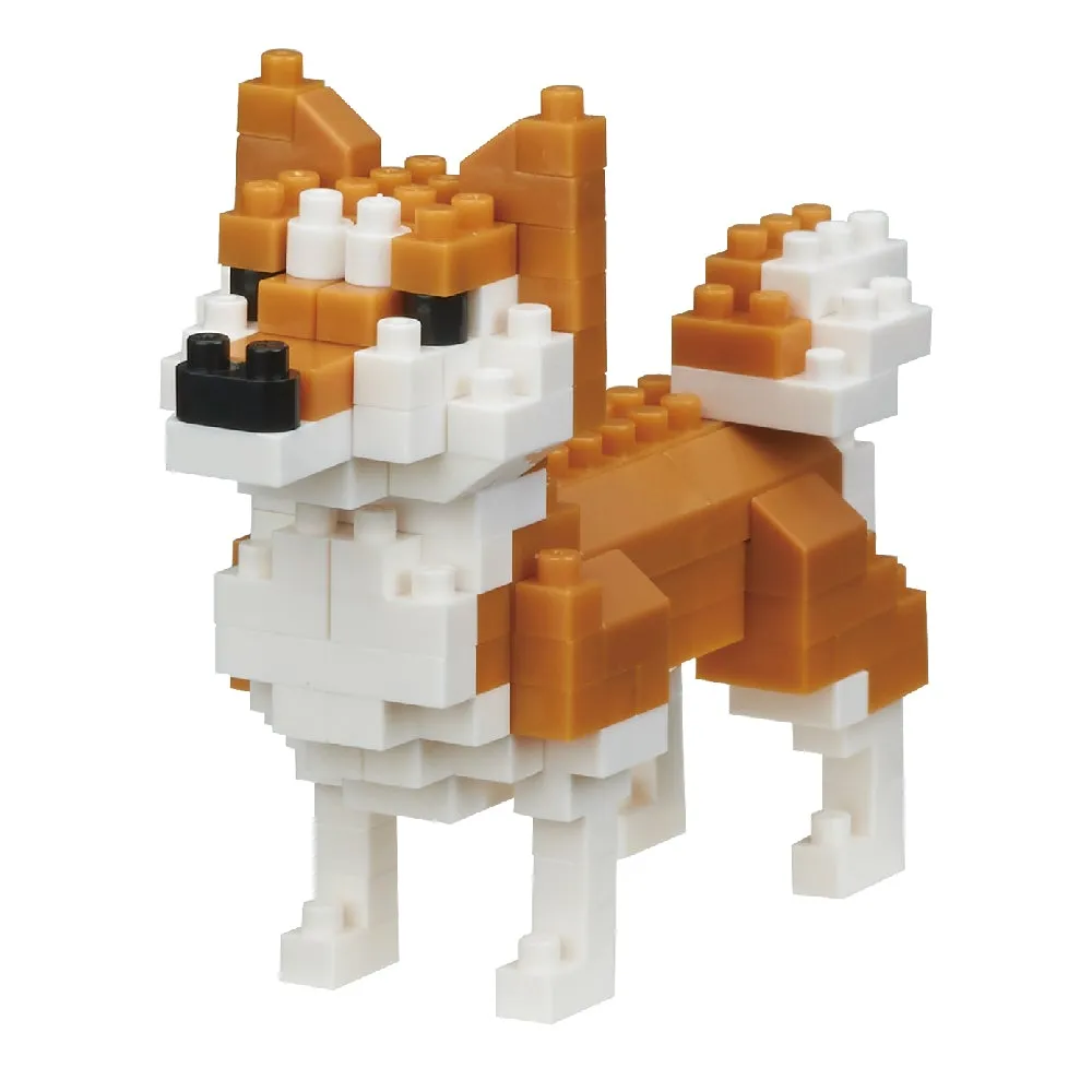 Shiba-Inu — view 1