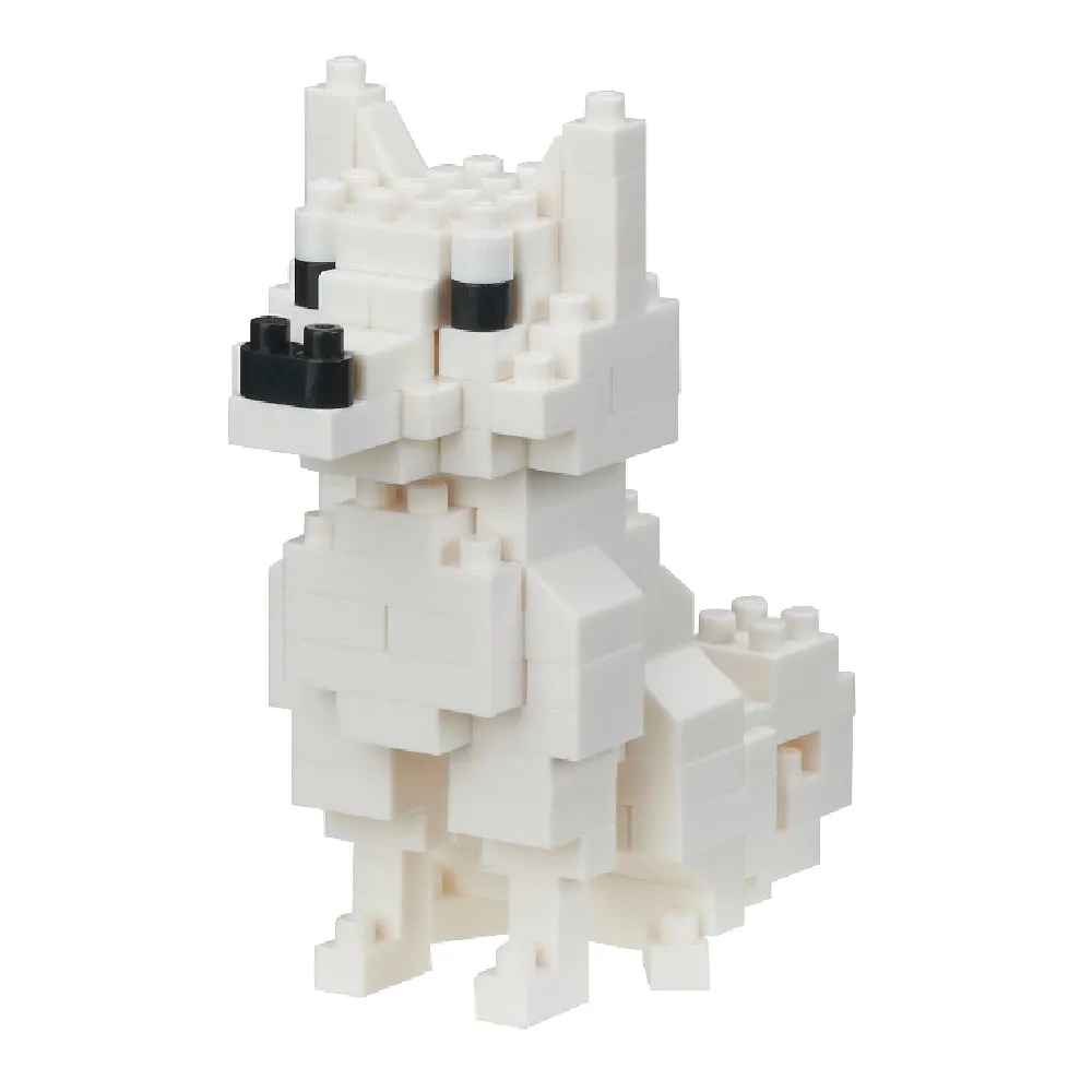Hokkaido Dog — view 1
