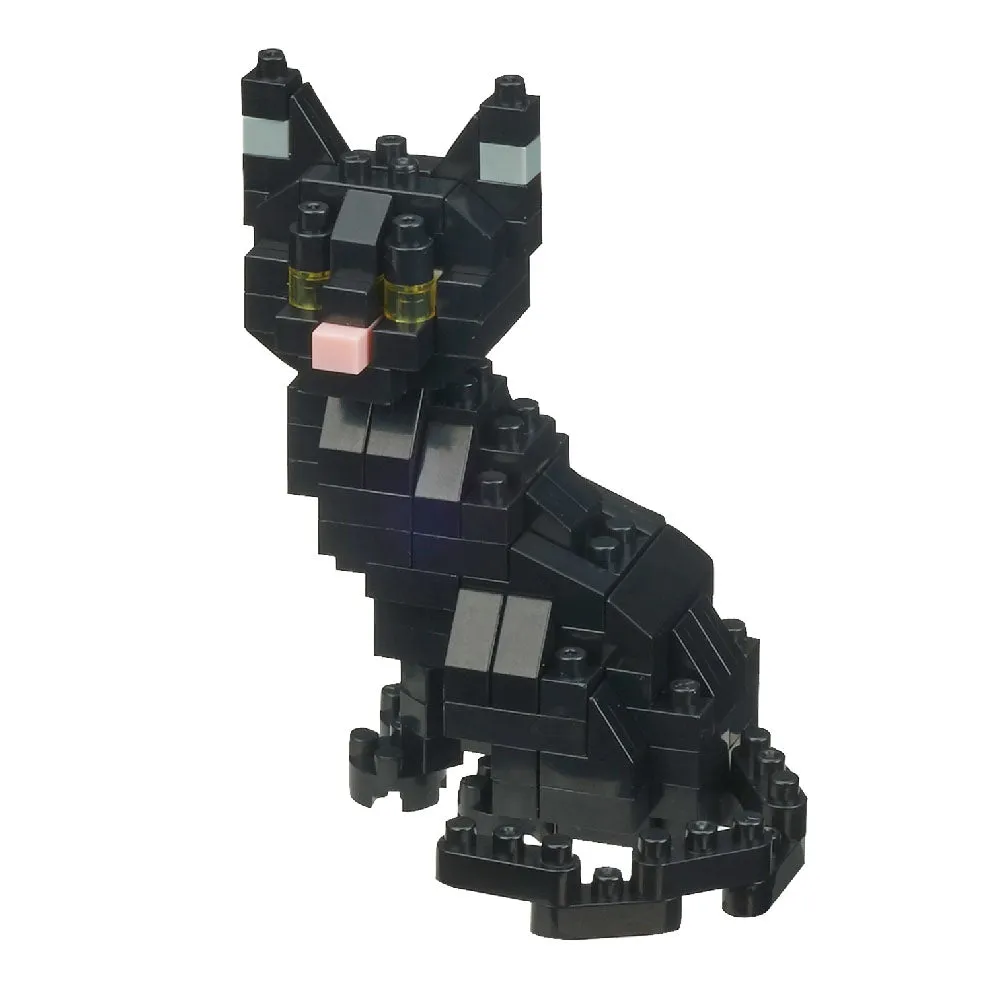 Black Cat — view 1