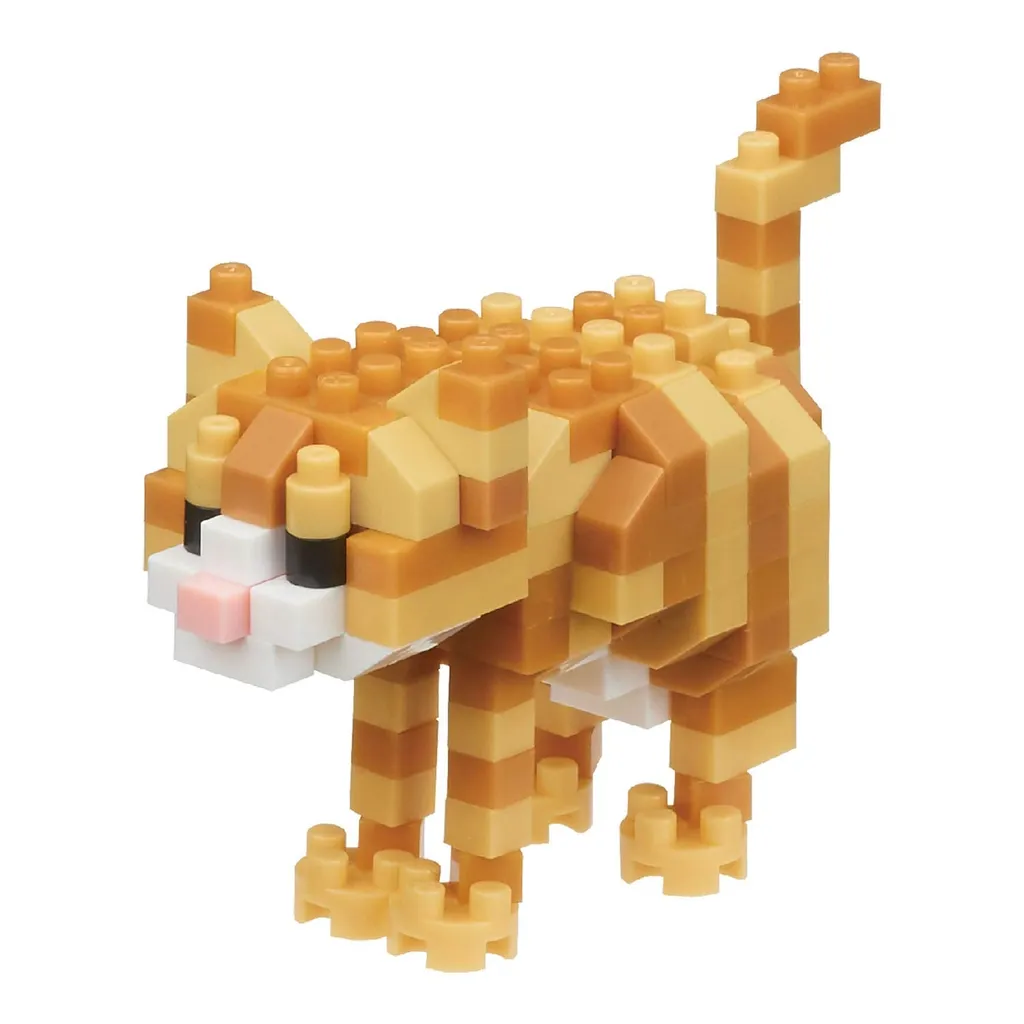 Tabby Cat — view 1