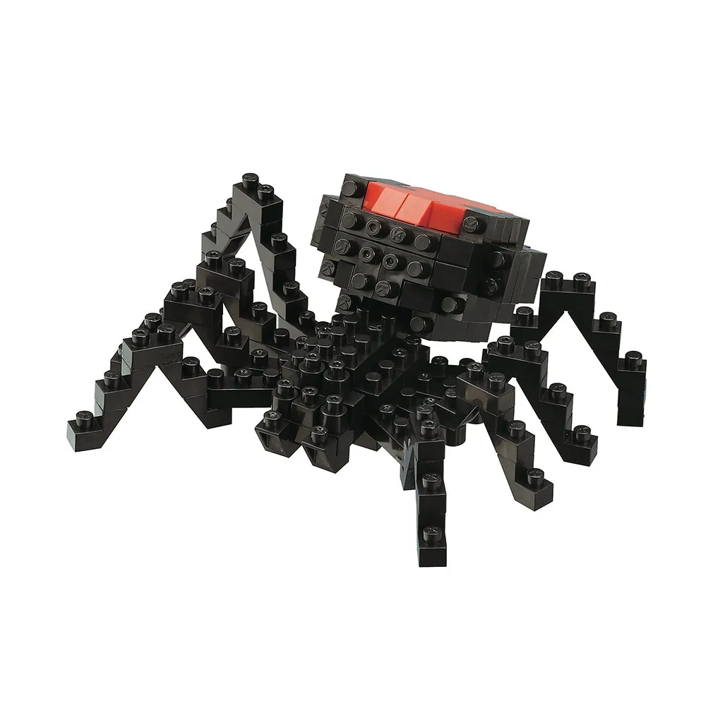 Redback Spider — view 1