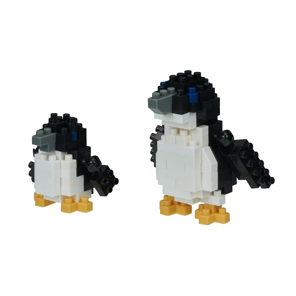 Fairy Penguins — view 1