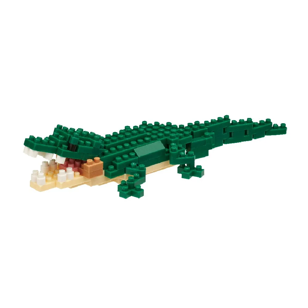 Crocodile — view 1