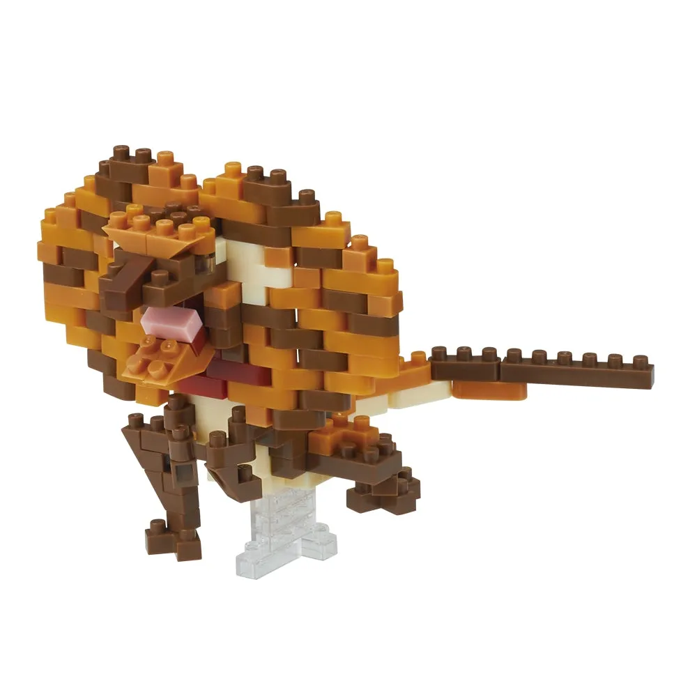 Frilled Neck Lizard — view 1